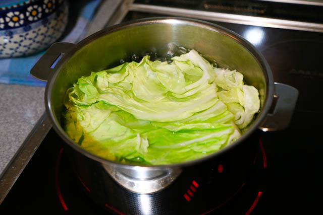 cabbage_2.jpg